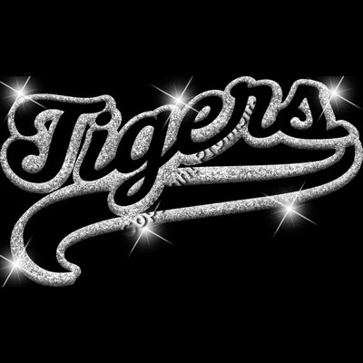 GLT78 SILVER GLITTER Thumbnail