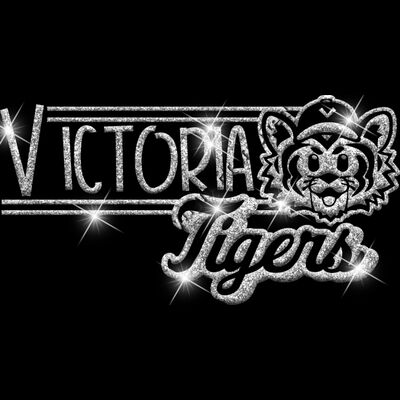 GLT101 SILVER GLITTER Thumbnail